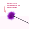 Kit El Marquesx